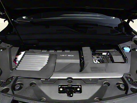 2025�� 300T ������ҫ��