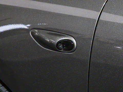 2025�� ����������������