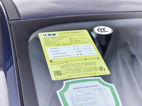 2024�� ��ҫ�� DM-i 55KM ������