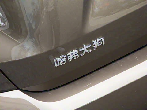 2023�� 2.0T ������Ұ��