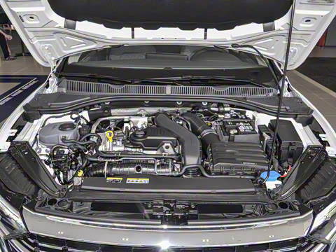 2025�� 300TSI DSG��Խ��