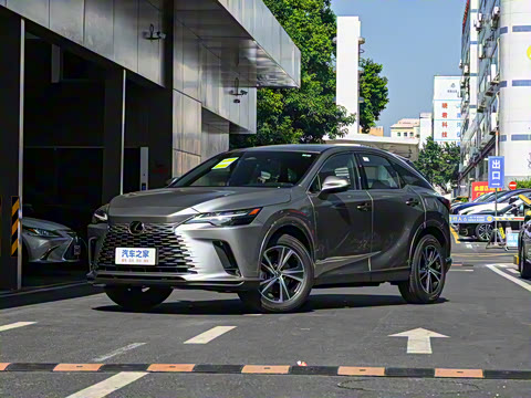 2025�� 300 ����������