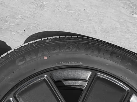 2025�� 501���������