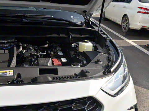 2024�� 2.0T ������ҫ��