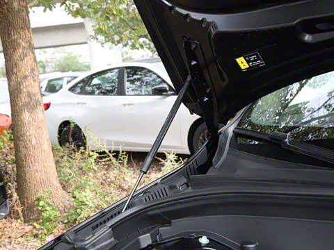 2025�� B5 ������Զ��ҹ�ڰ�