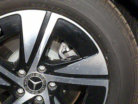 2025�� �������Ȱ�