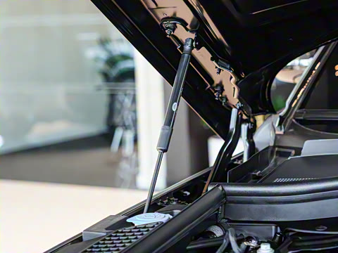 2025�� 400PS Dynamic SE