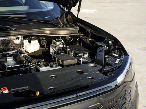 2025�� ������