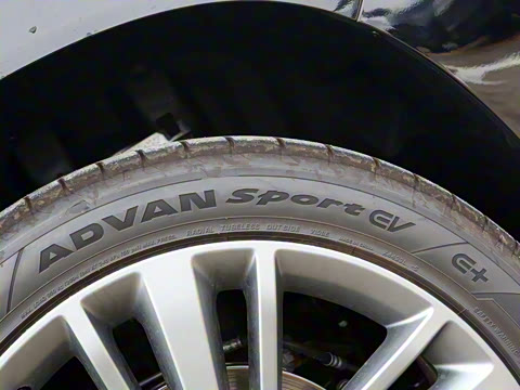 2024�� ���� 520������