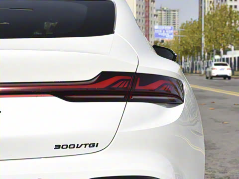 2025�� 1.5T 300 DCT������