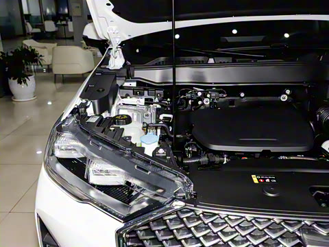 2024�� 1.5T ���������