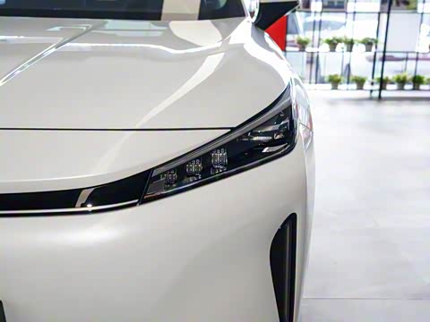 2024�� 135�콢��