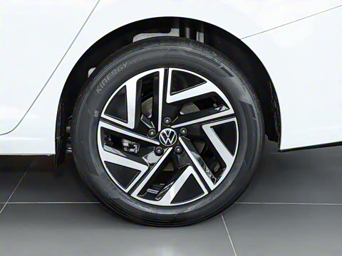 2024�� 300TSI DSG��Խ��