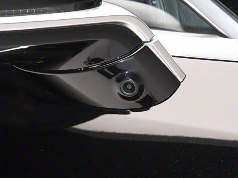 2025�� EV ����������