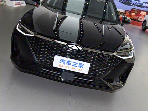 2025�� 70km ��׼��