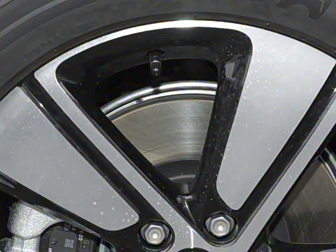 2026�� �鶯��������