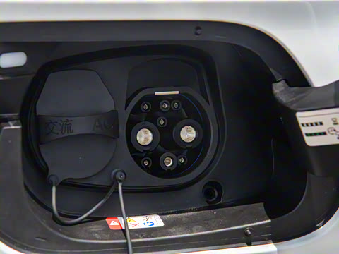 2024�� ������������