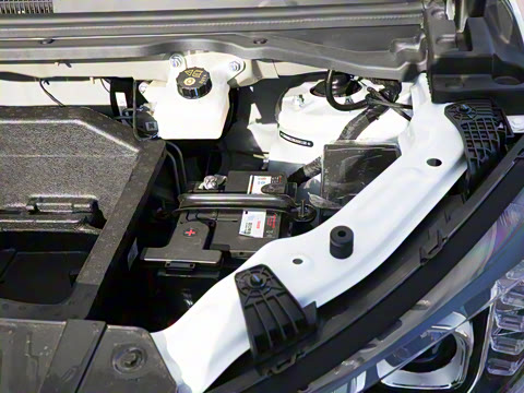 2025�� 401km ���� 7��