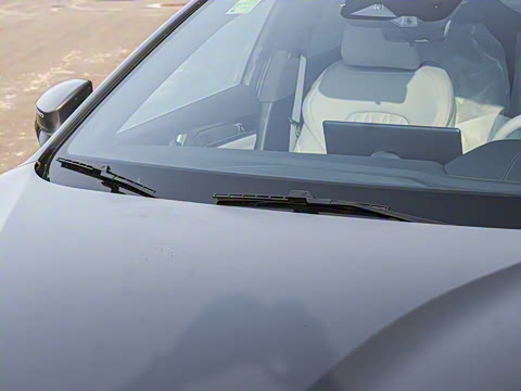 2025�� DM-i 115KM �����