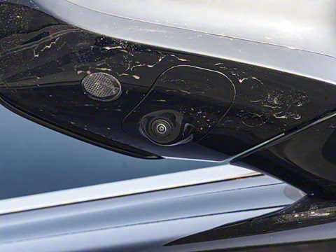 2025�� DM-i 115KM �����