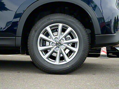 2025�� 2.0L �Զ�����������