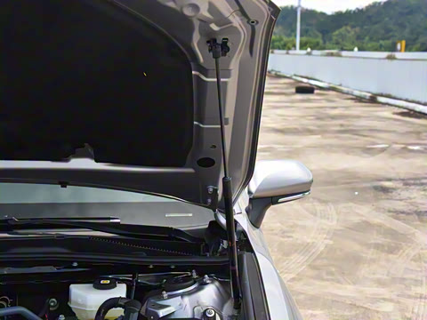 2024�� 2.0GVP ������