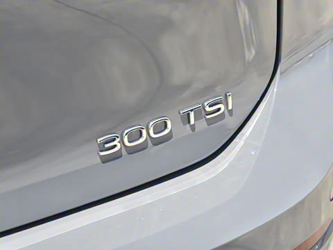 2025�� �Ŀ� 300TSI R-Line