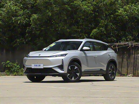 2025�� 205��������������