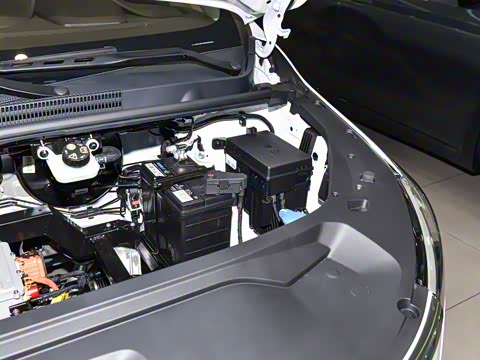 2025�� ��������