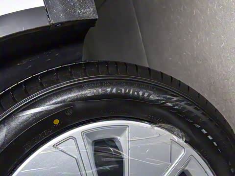 2025�� ��������