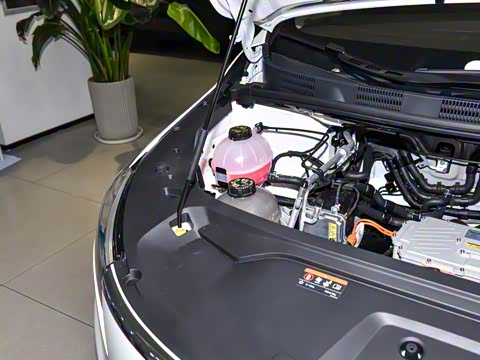 2025�� ��������