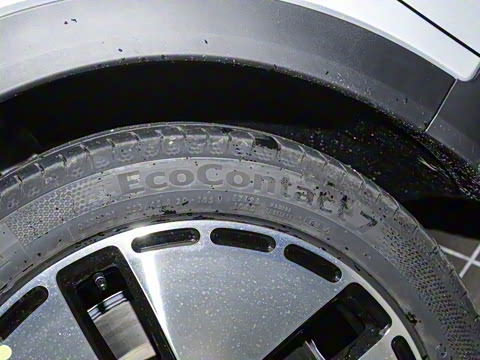 2024�� ������������ ������