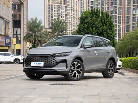 2025�� DM-i 115KM ������