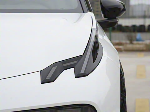 2025�� ������������