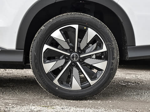 2025�� EV 520km ������