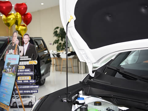 2025�� E9 ������� �ھ�