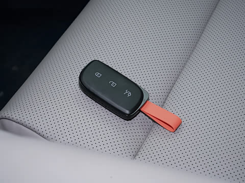 2024�� 71kWh 602km����Pro