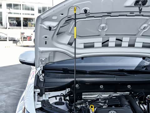 2025�� 280TSI �Զ�����Plus��