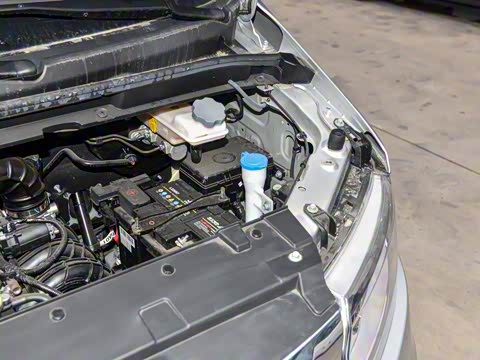 2025�� PLUS 1.8L �ֶ����ʰ� 7/8��