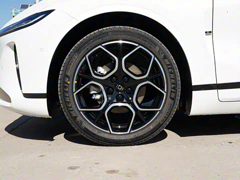 2025�� ���� ����� 230 �콢��