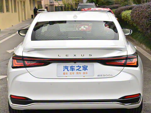 2025�� 300h ������