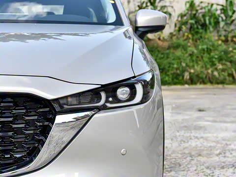 2025�� 2.0L �Զ���������Pro