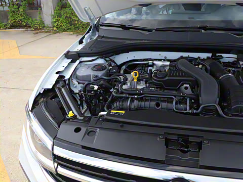 2025�� �Ŀ� 300TSI DSG���а�