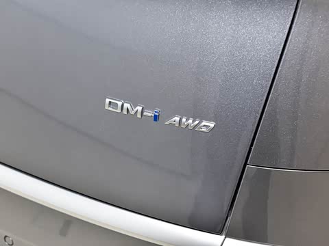 2024�� DM-i 980 ���������