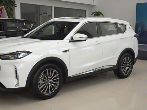 2024�� �ھ��� 1.5T DCT�ھ�MAX 5��