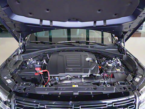 2025�� Dynamic SE