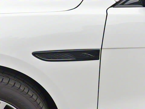 2025�� P250 R-Dynamic SE