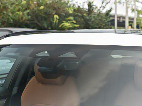 2025�� P250 R-Dynamic SE