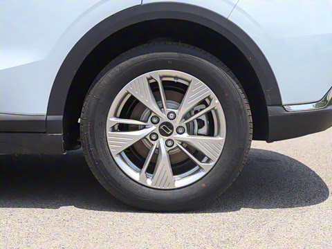 2025�� 445km ���ð�