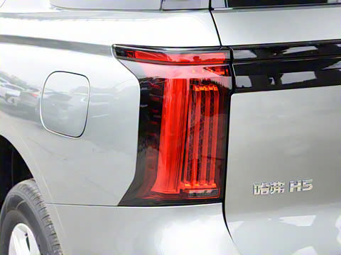 2024�� 2.0T�Զ������촴 ����